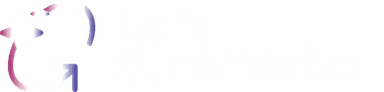 Let's Summarize logo